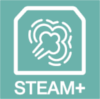 steam assist