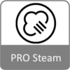 steam pro